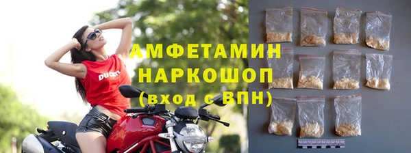 индика Нягань