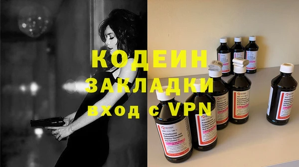 индика Нягань