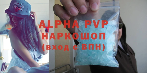 индика Нягань