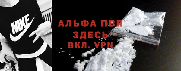 индика Нягань