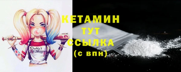 индика Нягань