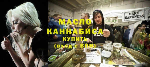 индика Нягань