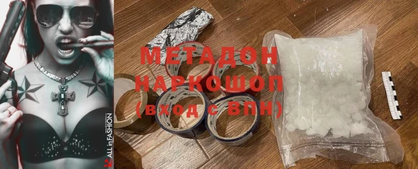 индика Нягань