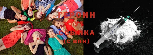 индика Нягань