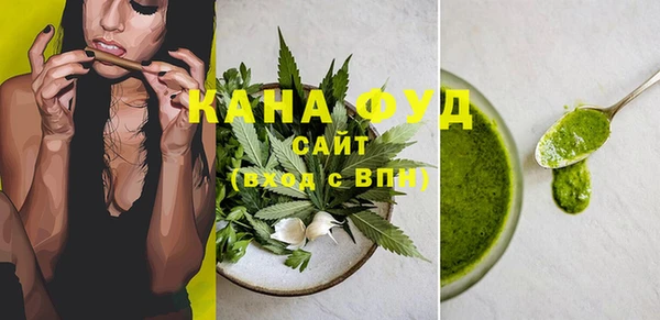 индика Нягань