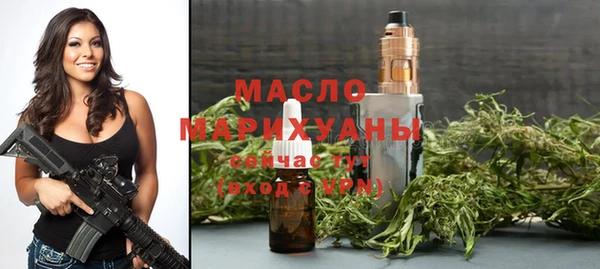 индика Нягань
