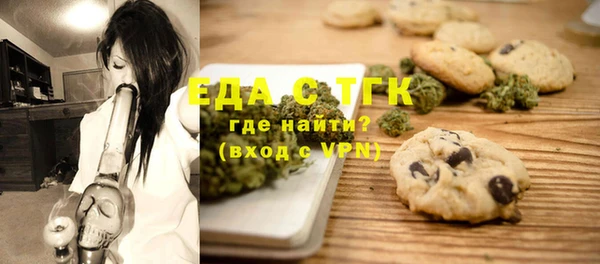 индика Нягань