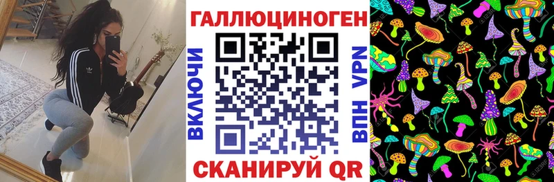 Галлюциногенные грибы GOLDEN TEACHER  Купить  Губкин 