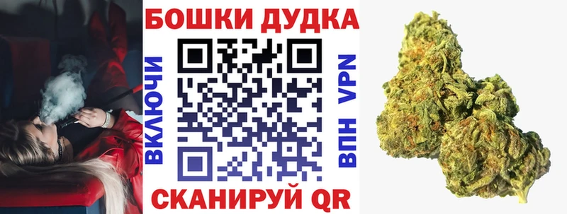 Каннабис ГИДРОПОН Купить закладки Губкин